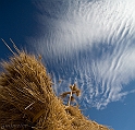 Grano verso il cielo